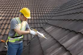 Best Roof Maintenance and Cleaning  in USA